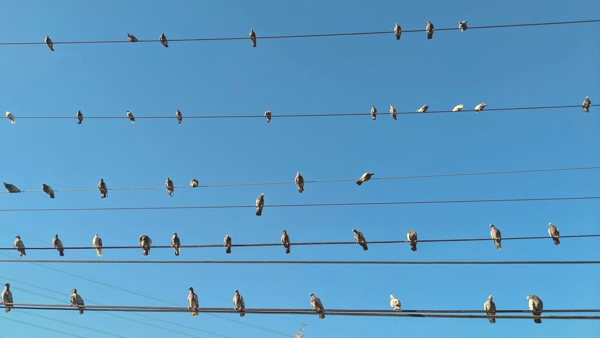當我開始照顧自己，全宇宙都一起來照顧我了