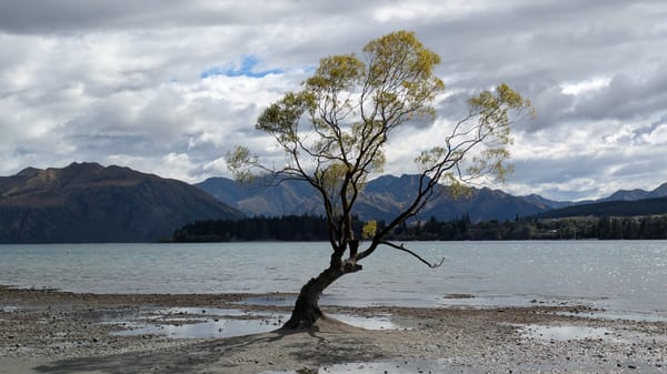 諮商筆記：一趟找回自己的旅程